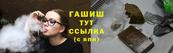 хмурый Снежногорск