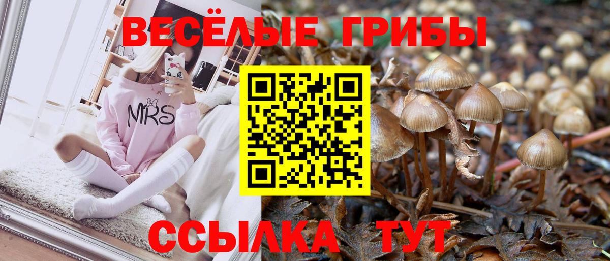 Галлюциногенные грибы ЛСД Спасск-Дальний